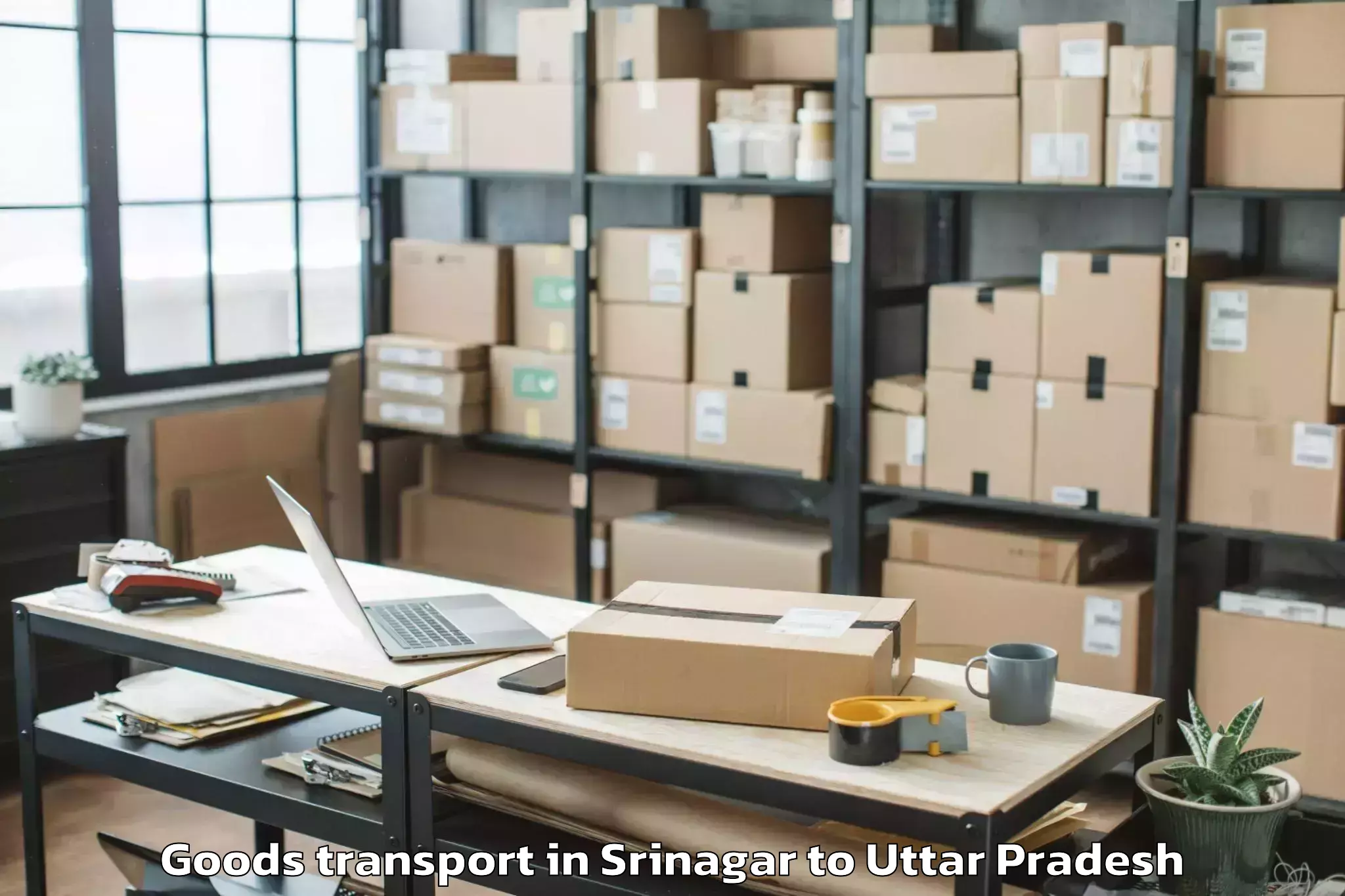 Book Srinagar to Era University Lucknow Goods Transport